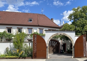 Weingut Borell-Diehl